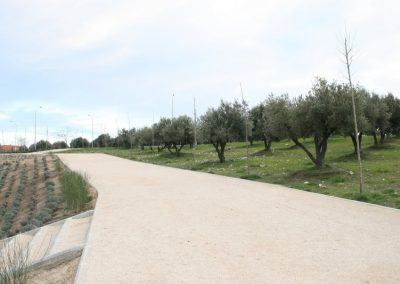 Recuperación mejora y dotación de espacios verdes en torno a El Olivar como elemento integrado en el entorno urbano